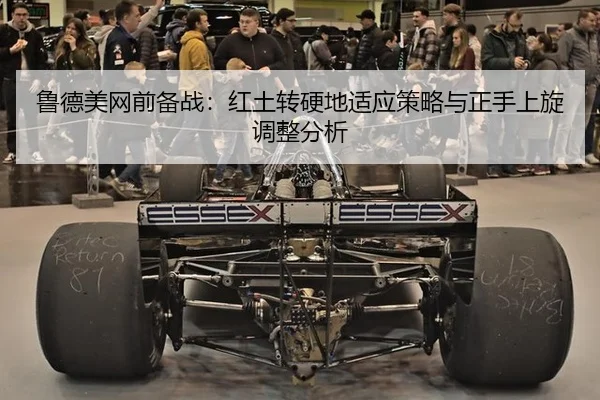 lu-de-mei-wang-qian-bei-zhan-hong-tu-zhuan-ying-di-shi-ying-ce-lve-yu-zheng-shou-shang-xuan-tiao-zheng-fen-xi-3-327.jpg