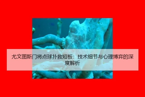 you-wen-tu-si-men-jiang-dian-qiu-pu-jiu-duan-ban-ji-shu-xi-jie-yu-xin-li-bo-yi-de-shen-du-jie-xi-2-577.jpg