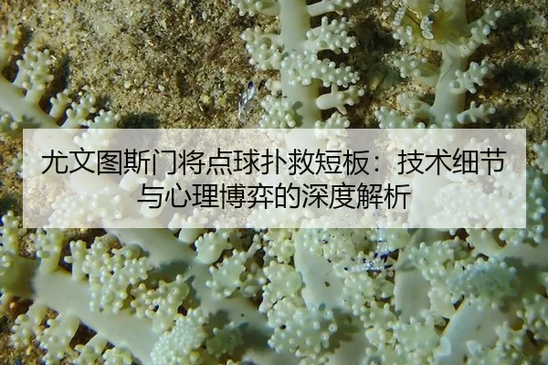 尤文图斯门将点球扑救短板：技术细节与心理博弈的深度解析